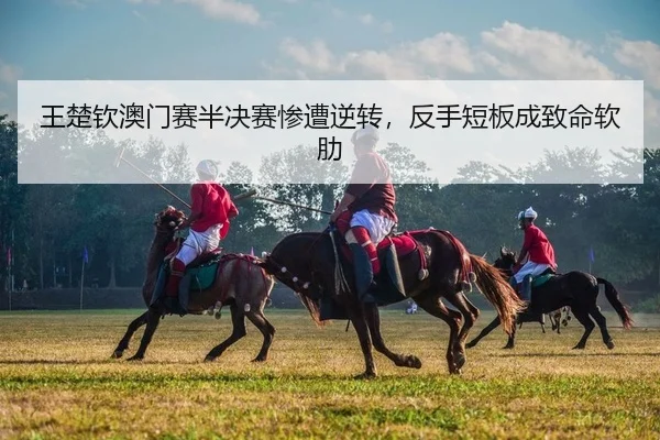 wang-chu-qin-ao-men-sai-ban-jue-sai-can-zao-ni-zhuan-fan-shou-duan-ban-cheng-zhi-ming-ruan-lei-2-356.jpg